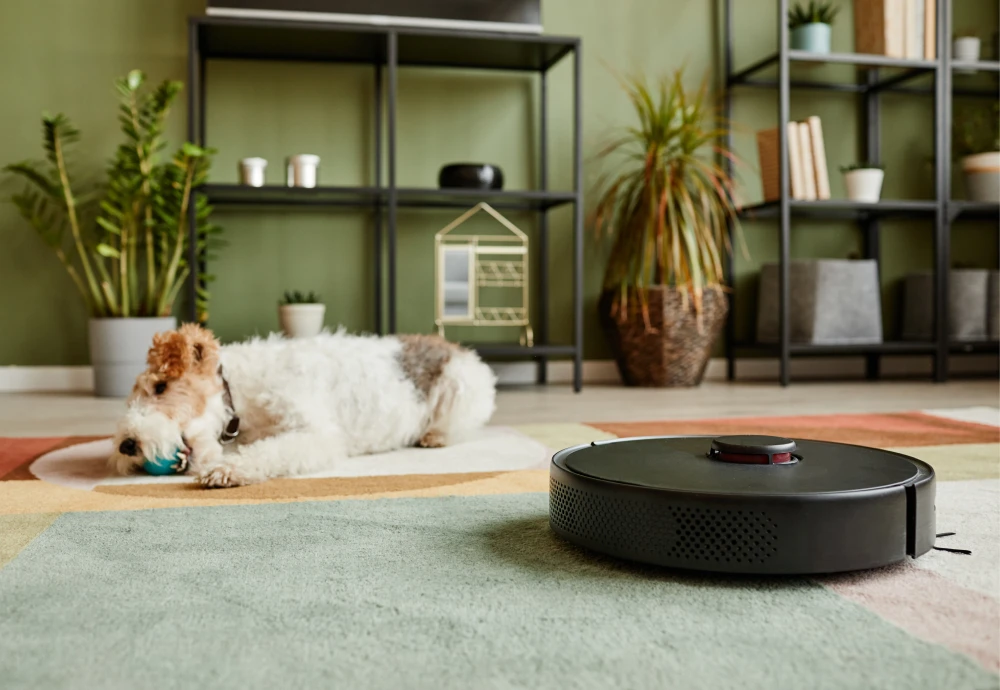 robot vacuum self cleaning