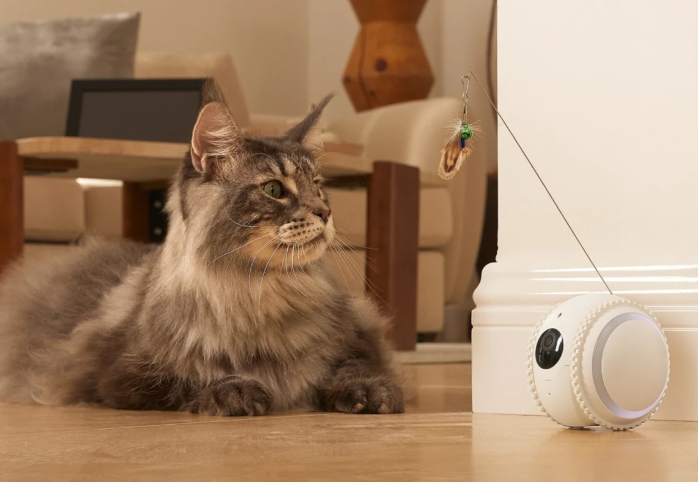 best indoor camera for watching pets