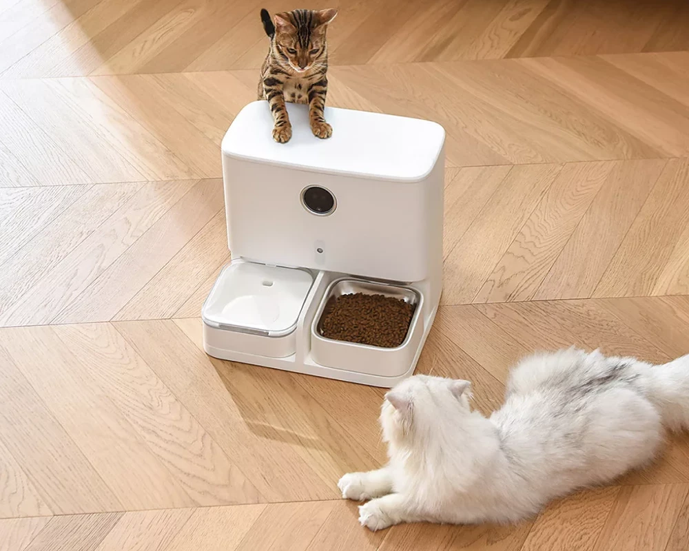 pet safe automatic feeder