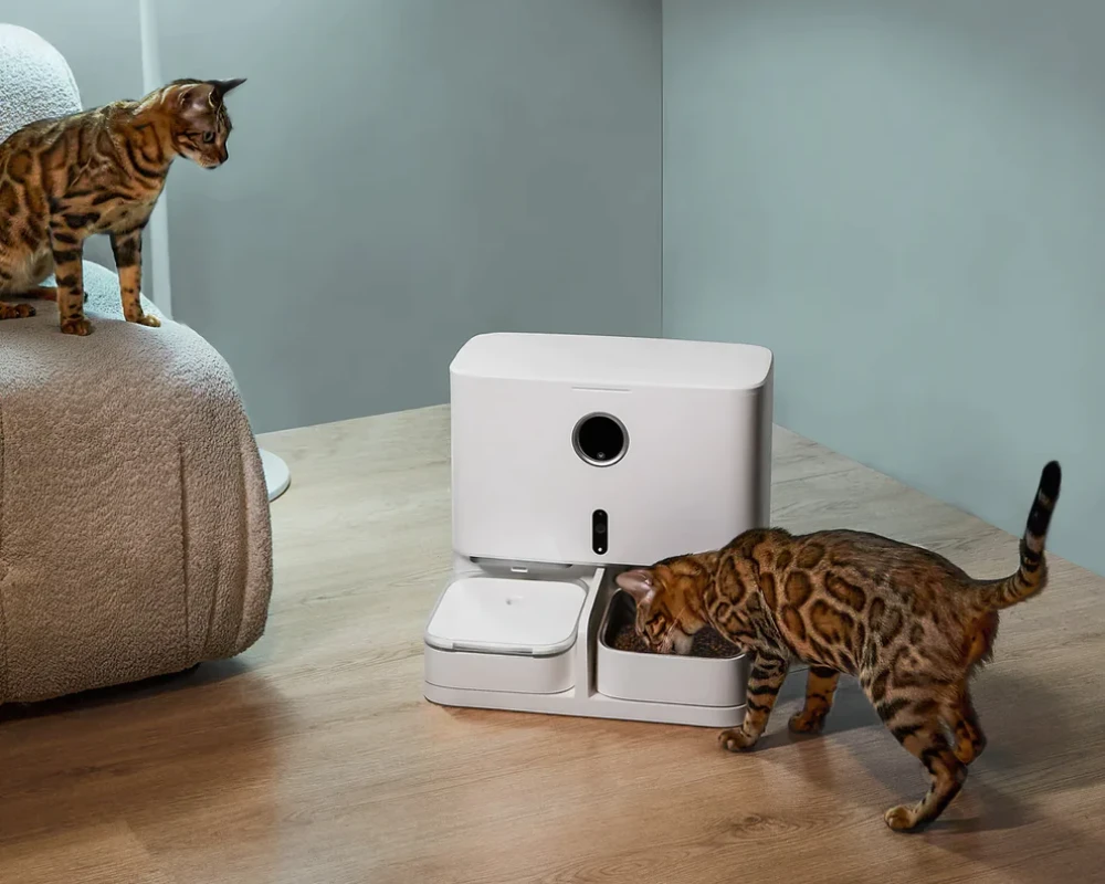 robot automatic pet feeder